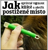 jak správně vyjmout klíště a ošetřit postižené místo