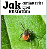 jak chránit zvíře proti klíšťatům