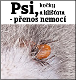 psi, kočky a klíšťata - přenos nemocí