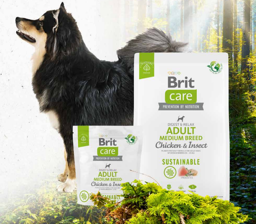 ucime_se_milovat_prirodu_stejne_jako_nasi_psi_clanek_002