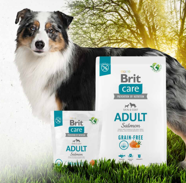 ucime_se_milovat_prirodu_stejne_jako_nasi_psi_clanek_003_new_