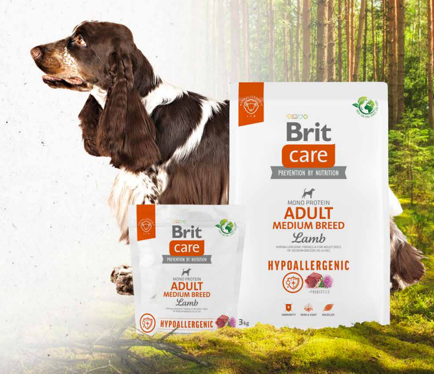 ucime_se_milovat_prirodu_stejne_jako_nasi_psi_clanek_004