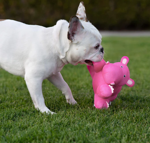 vzdorujte_vedru_canada_pooch_clanek_008