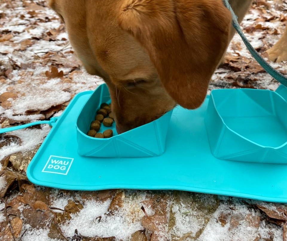 wau_obojky_waudog_z_ukrajiny_clanek_008