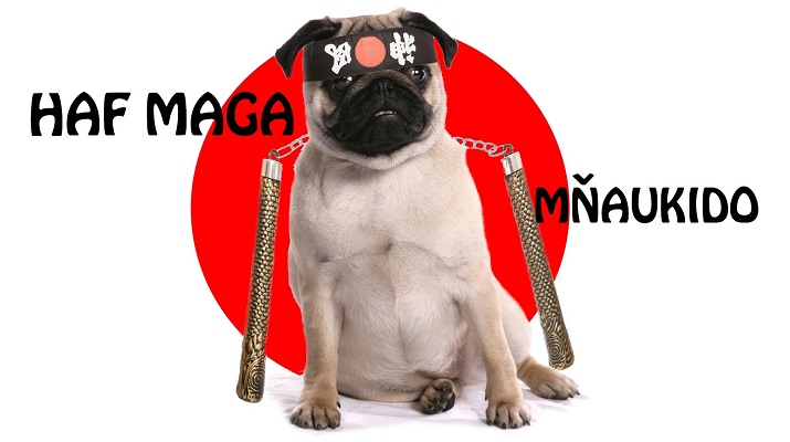 haf maga