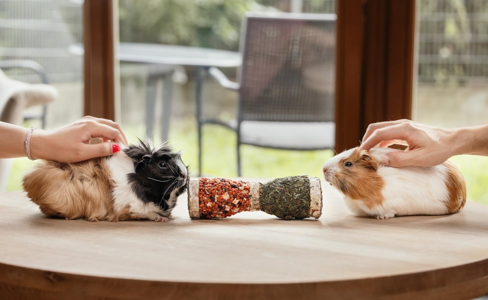 ham_stake_pamlsky_clanek_002