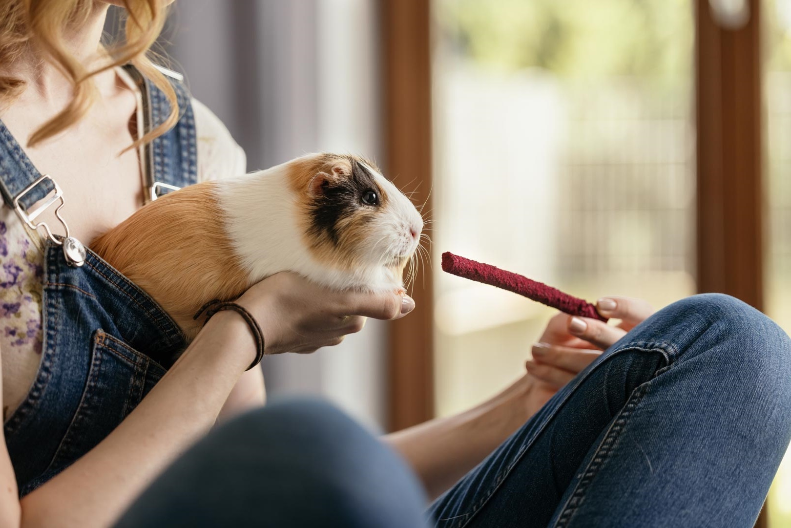 ham_stake_pamlsky_clanek_003