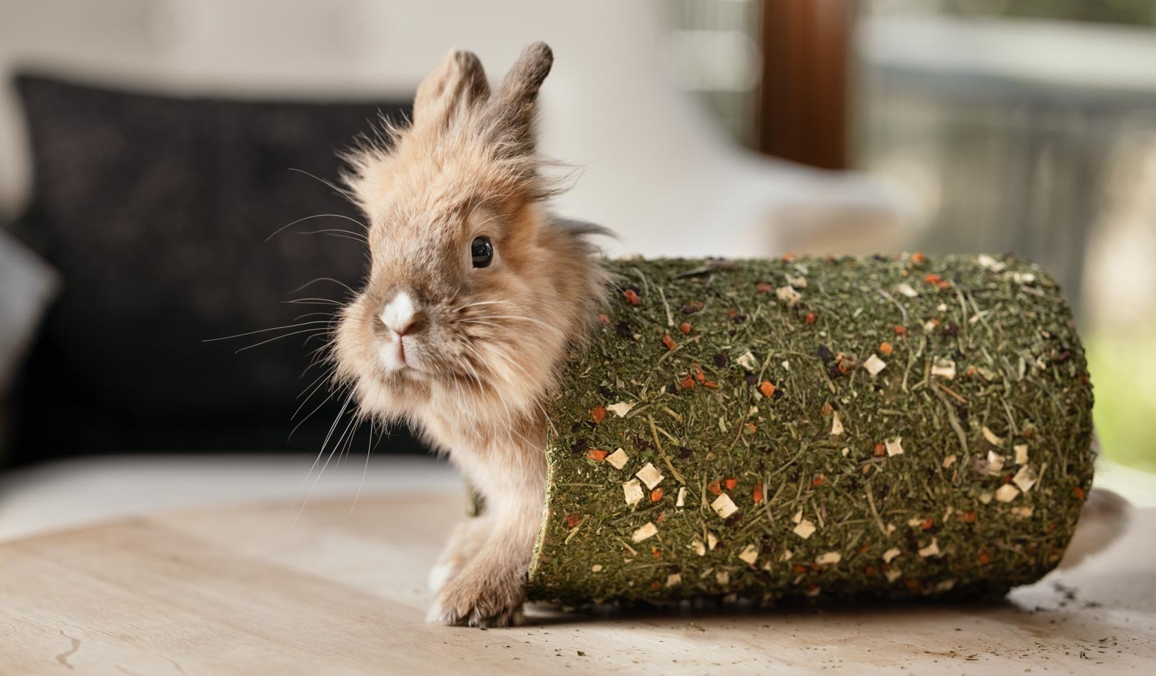 ham_stake_pamlsky_clanek_004