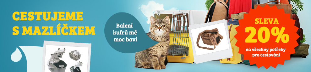 kočka dovolená