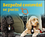 cestování se psem