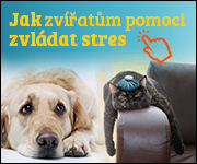 jak zvládat stres