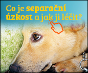 separační úzkost