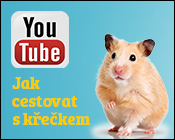 youtube křeček