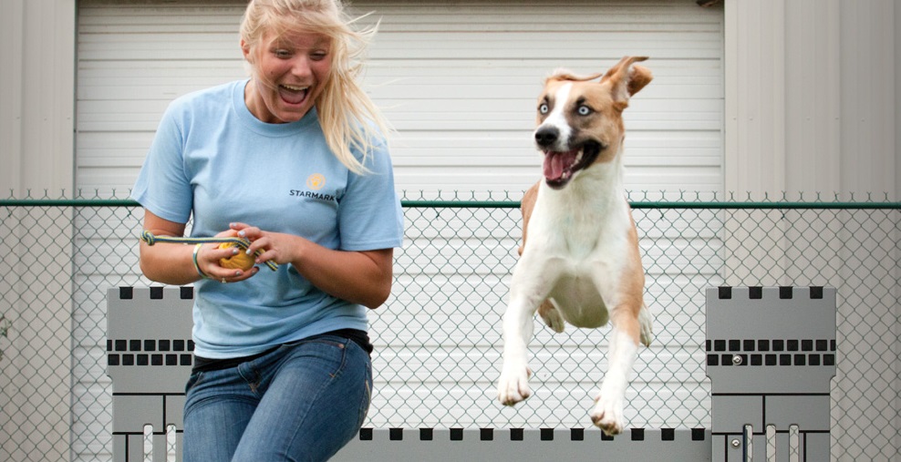 stalice_jmenem_starmark_clanek_001