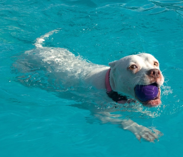 stalice_jmenem_starmark_clanek_002