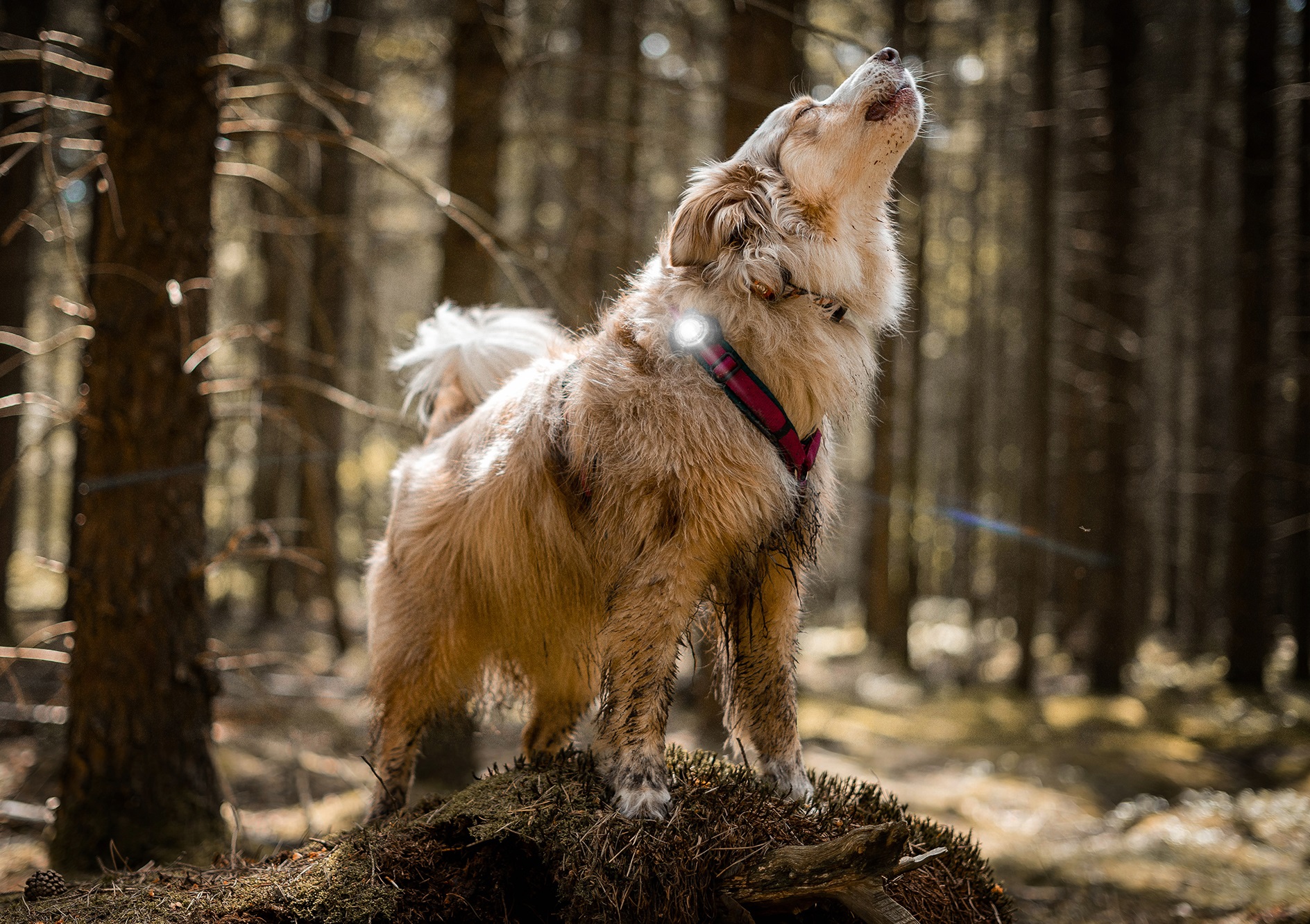 vencite_bezpecne_clanek_004_new