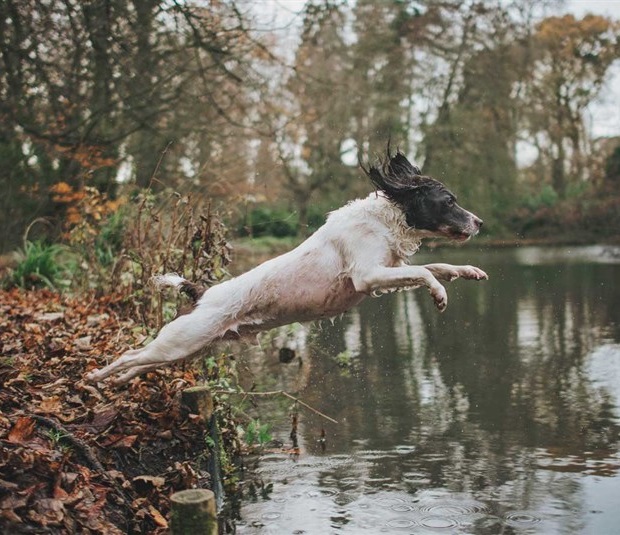 vyziva_nove_ery_clanek_005