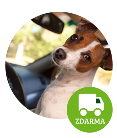 ikona_Novinky_Den dopravy zdarma