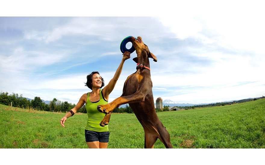 mrsknito_aneb_jak_hazece_chuckit_zmenily_svet_aportovani_004_I