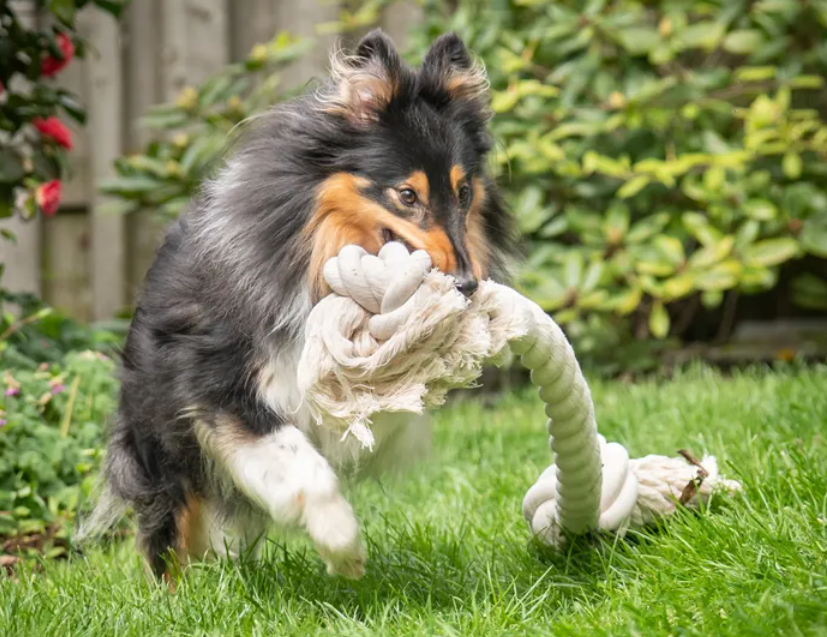 cerstva_varka_zabavy_001