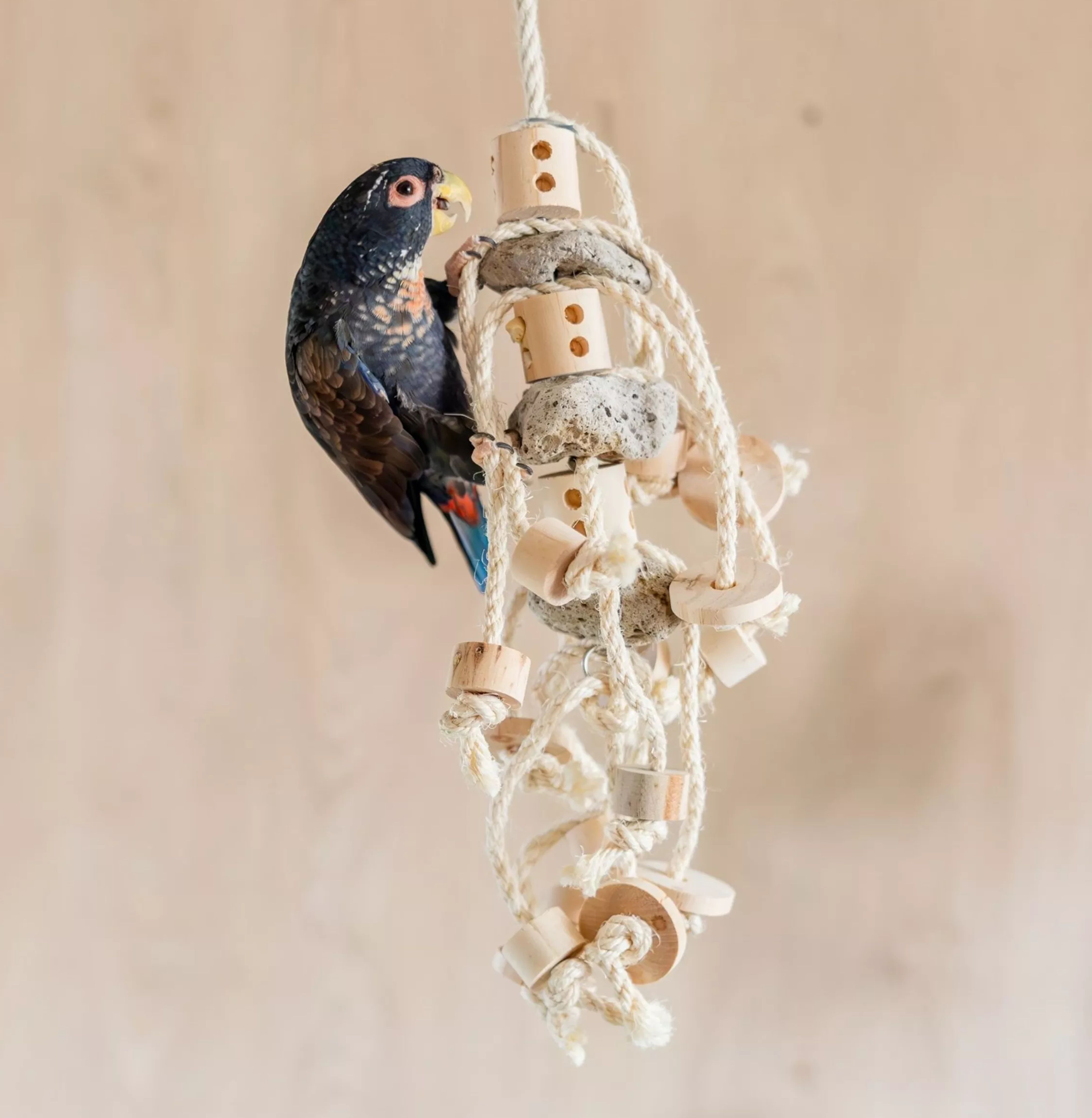 cerstva_varka_zabavy_003