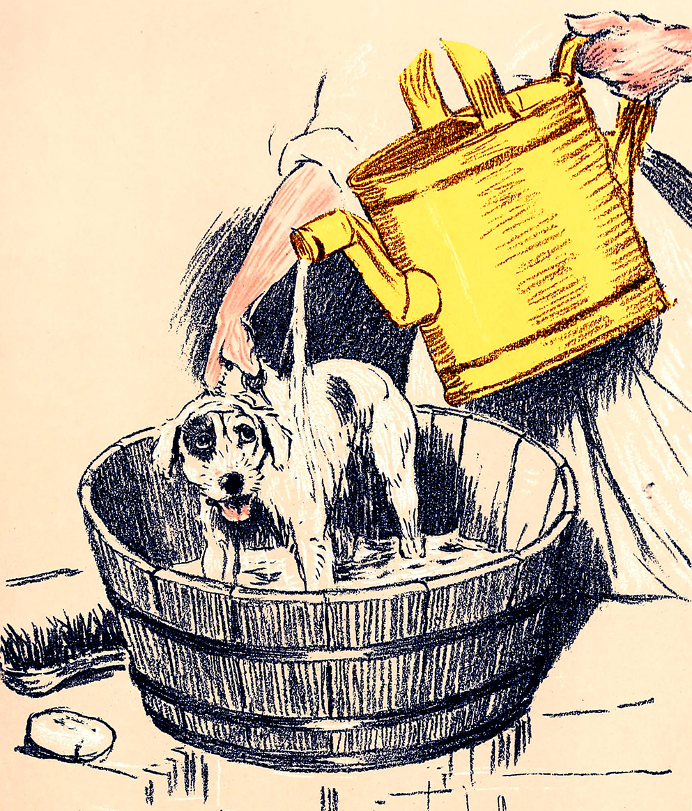 navstivte-zverokruh-salon-001