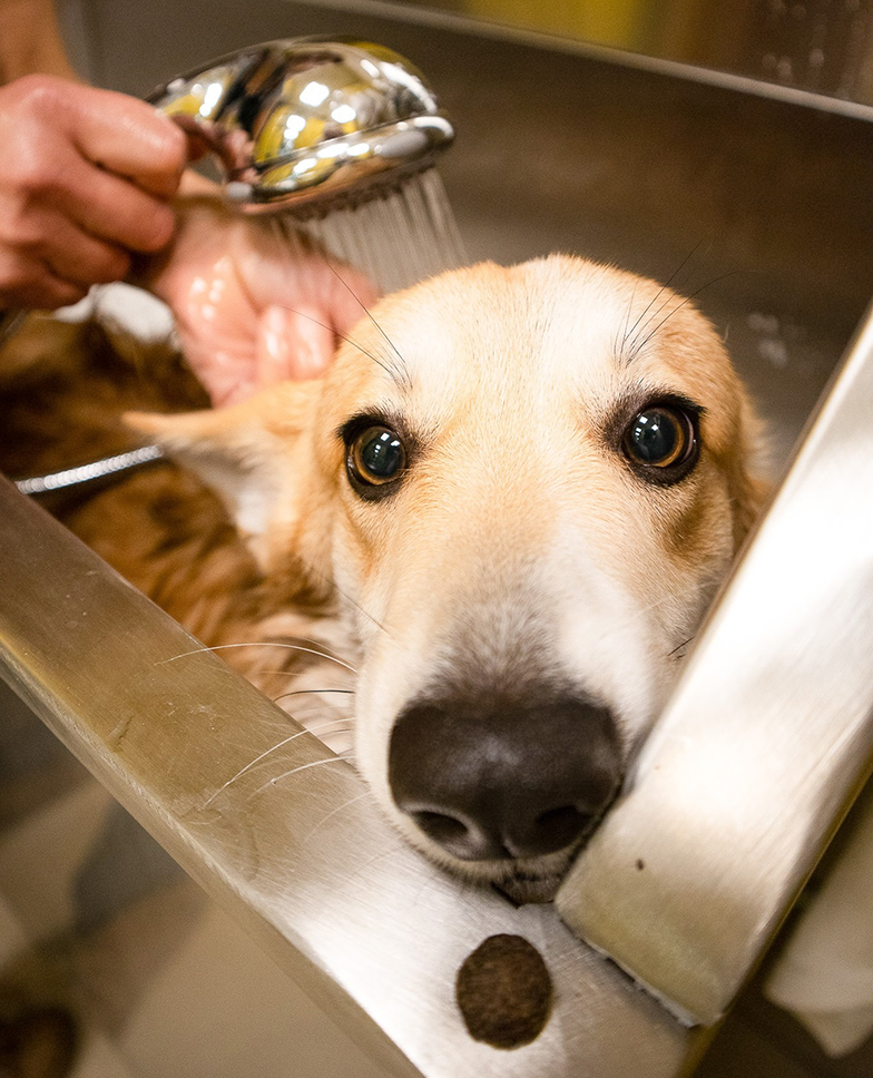 navstivte-zverokruh-salon-005