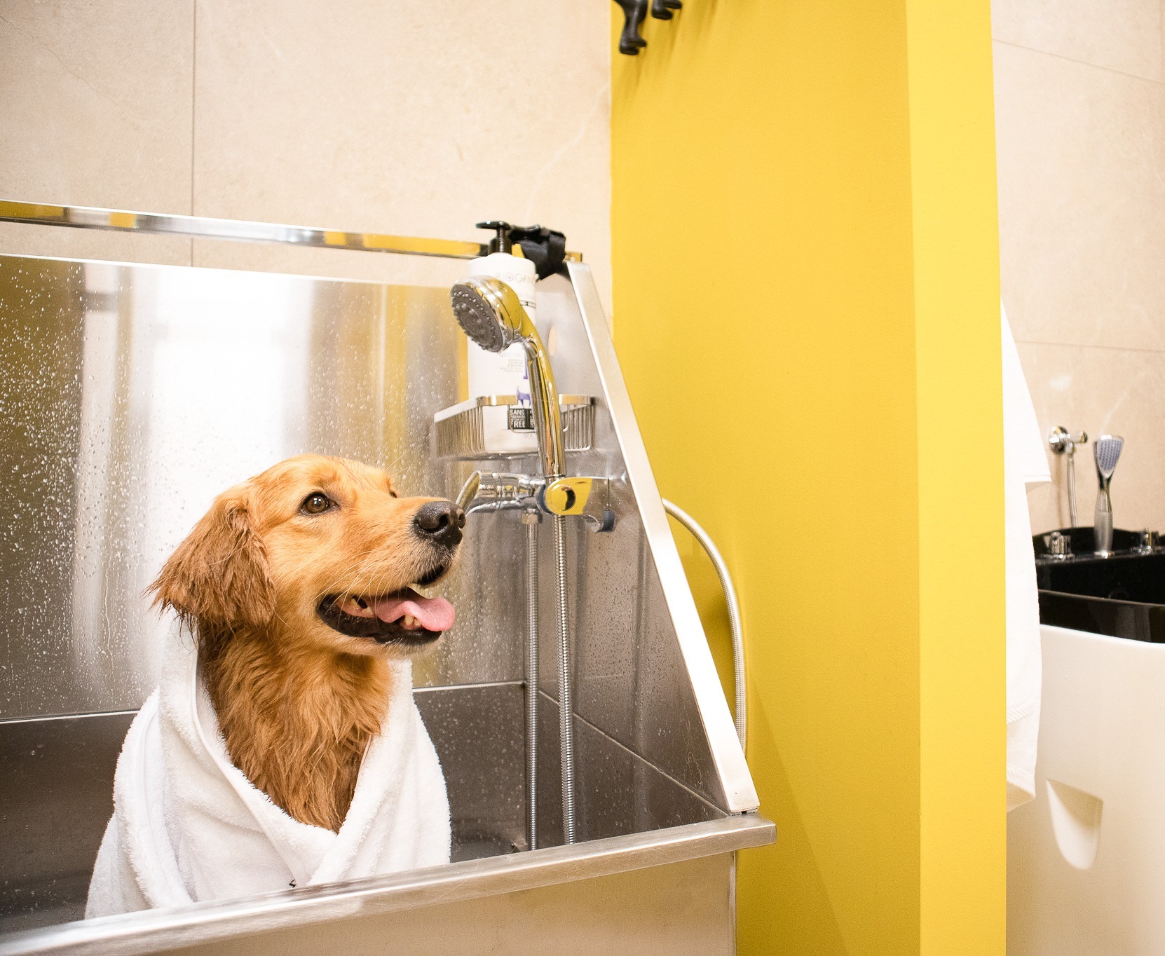 navstivte_zverokruh_salon_002