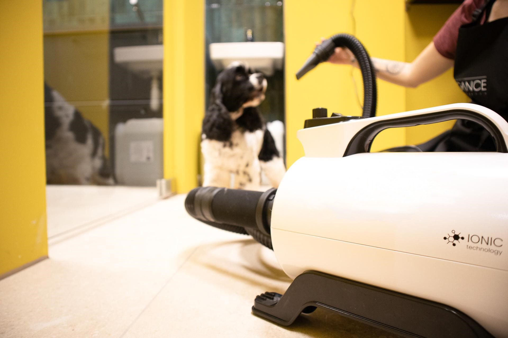 navstivte_zverokruh_salon_004