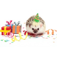 ikona mezinárodního dne zvířat