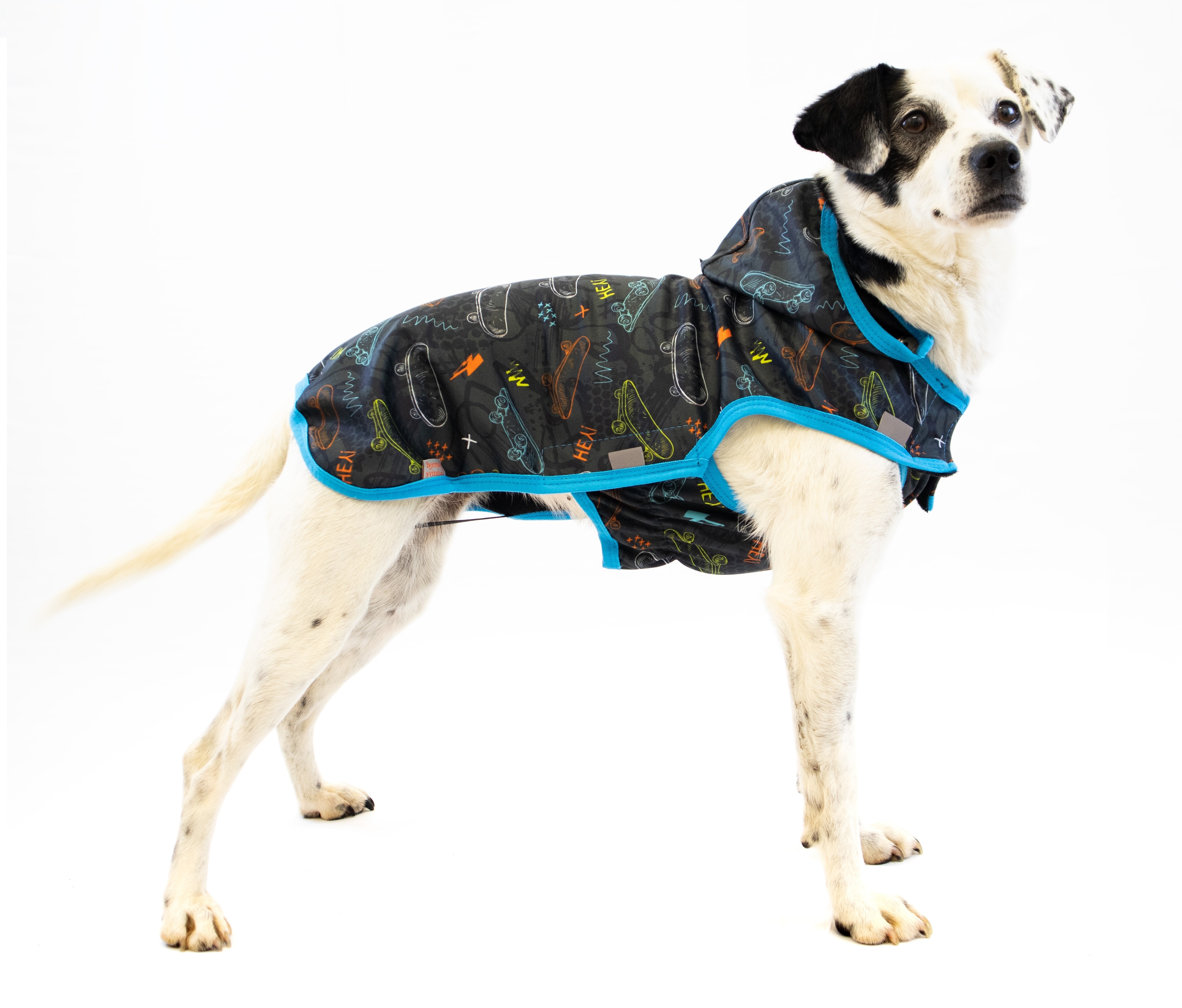 Oblecte_sveho_psa_do_nepohody_s_novinkami_Samohyl_Exclusive_002_novy