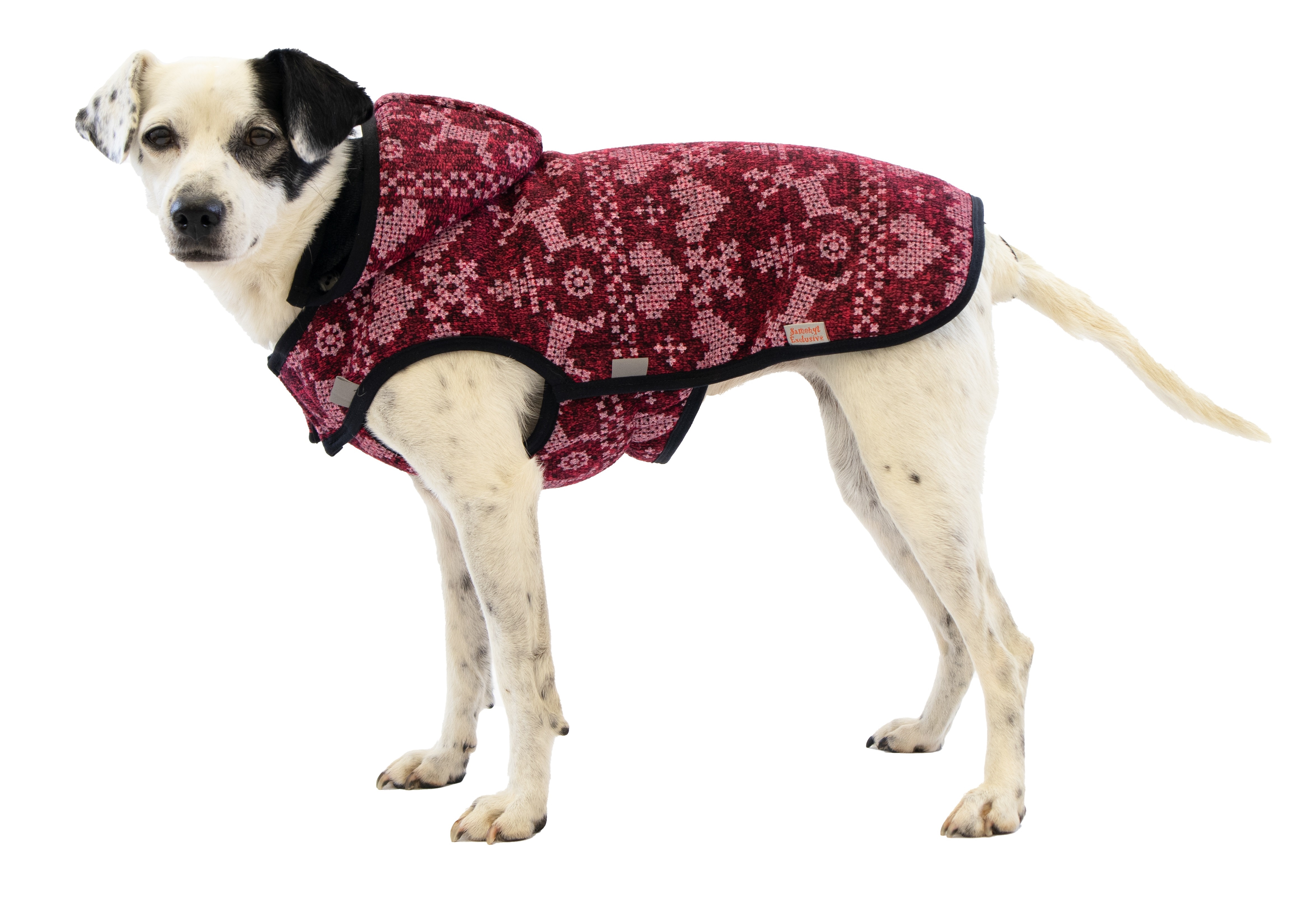 Oblecte_sveho_psa_do_nepohody_s_novinkami_Samohyl_Exclusive_003_novy