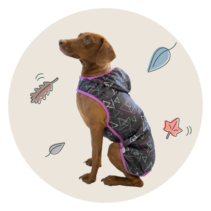 Oblecte_sveho_psa_do_nepohody_s_novinkami_Samohyl_Exclusive_ikona_novy