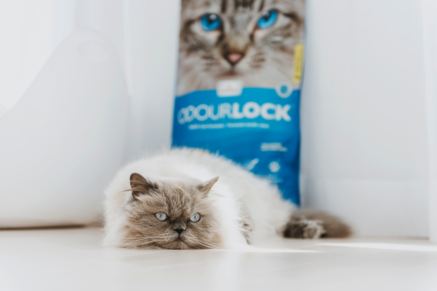 vyzkousejte_spicku_mezi_kockolity_bentonitova_steliva_odourlock_002