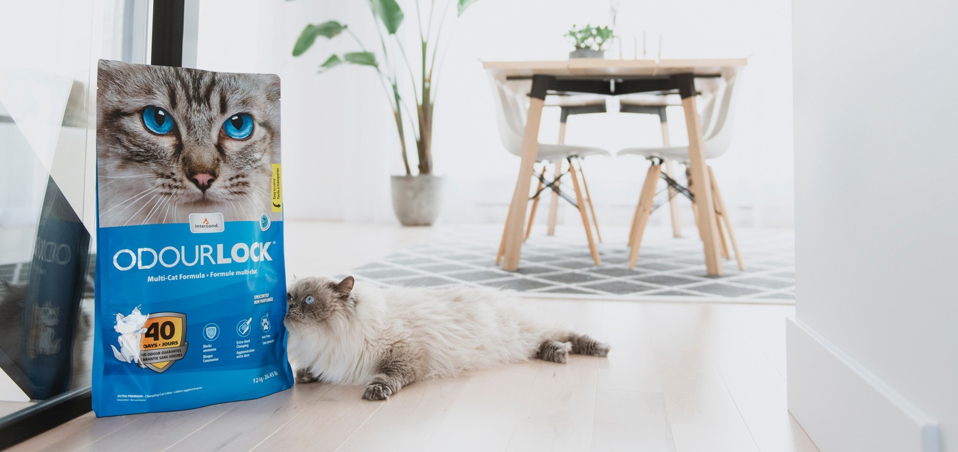 vyzkousejte_spicku_mezi_kockolity_bentonitova_steliva_odourlock_003