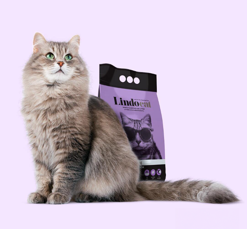 pro_velmi_dulezite_kocky_002