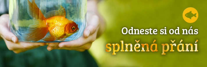 poslední výlov rybiček - banner