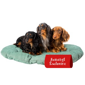 ikona samohyl exclusive