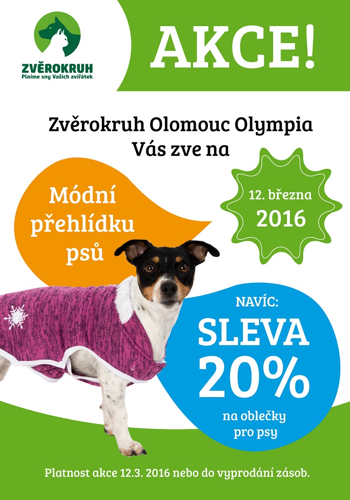 módní přehlídka psů
