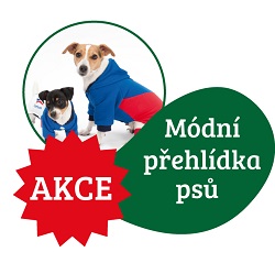 módní přehlídka psů