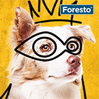 Soutezte_s_forestem_clanek_ikona