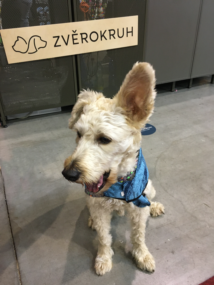 navstivte_nas_stanek_na_for_pets_2023_clanek_001_II