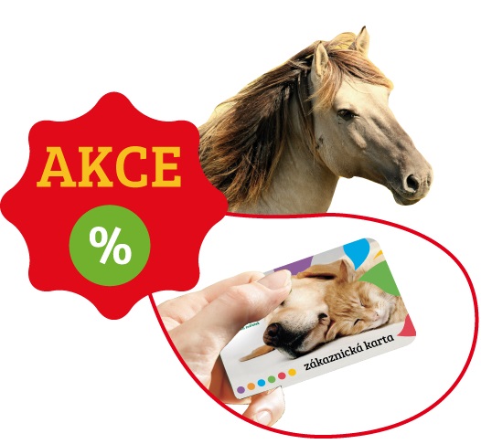 ikona jízda na koni za nákup