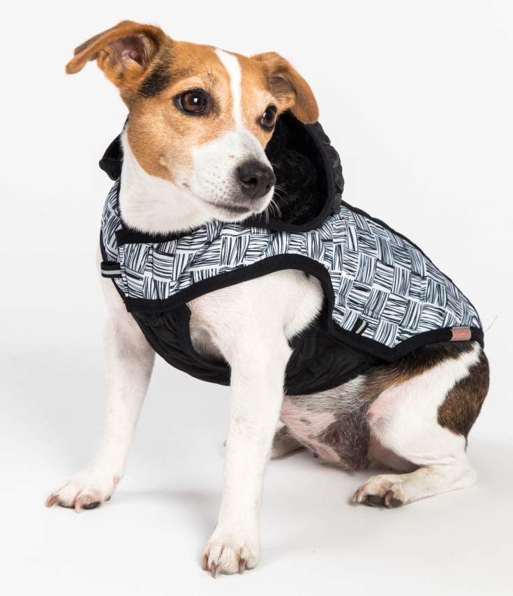 Zimní obleček pro psa - vesta Zara