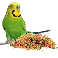 vaječná směs pro ptáky