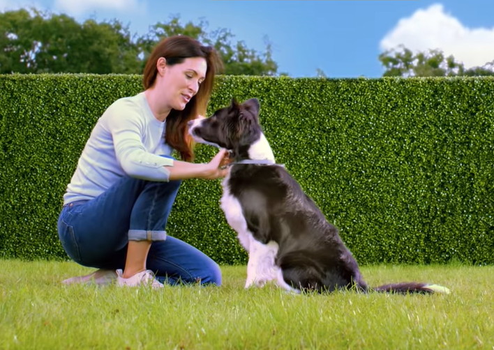 jak_chranit_domaci_mazlicky_002