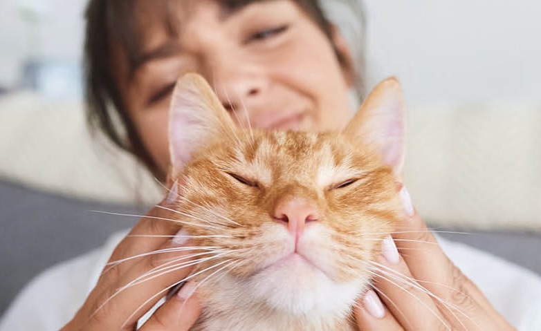 jak_chranit_domaci_mazlicky_003