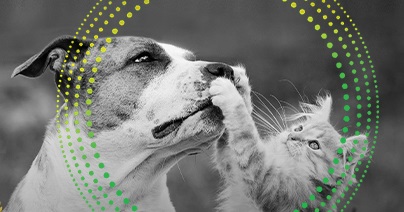 jak_chranit_domaci_mazlicky_004