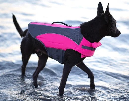 tipy_na_leto_s_mazlicky_001