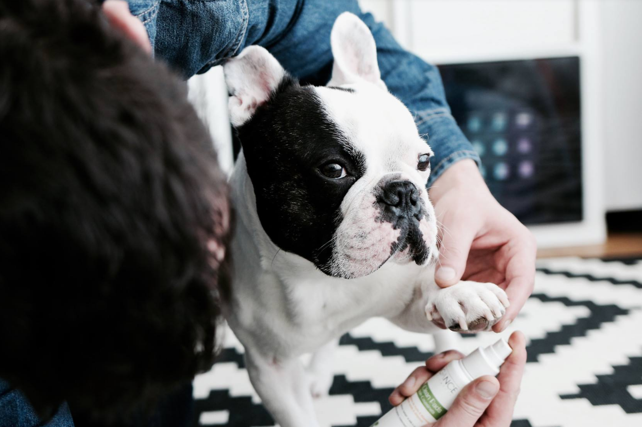 tipy_na_leto_s_mazlicky_002